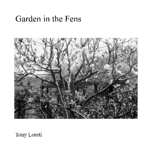 View Garden in the Fens by Tony Loreti