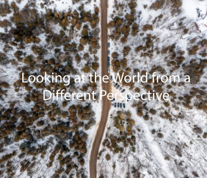 Looking at the World from a Different Perspective book cover