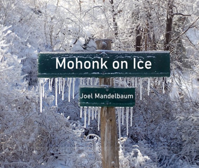 View Mohonk on Ice by Joel Mandelbaum