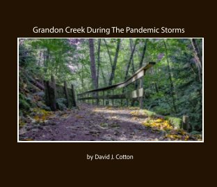 Grandon Creek During The Pandemic Storms book cover