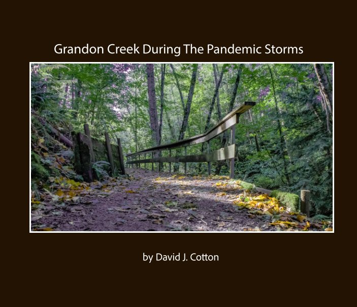 Bekijk Grandon Creek During The Pandemic Storms op David J. Cotton