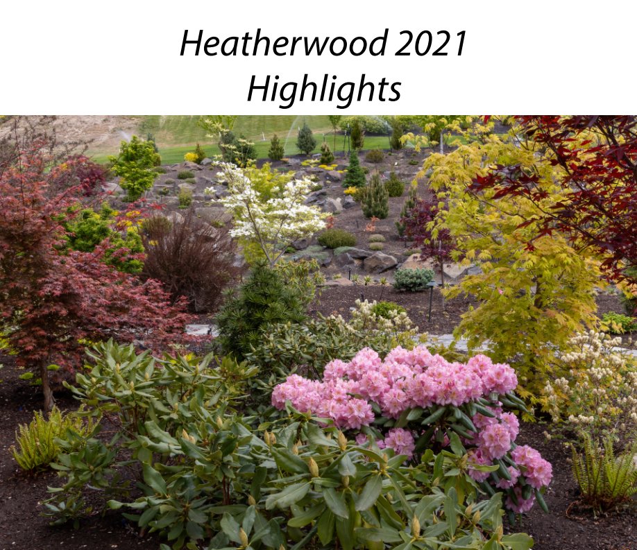 Visualizza Heatherwood 2021 Highlights di Karl Graf