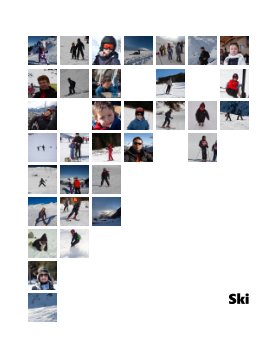 ski book cover