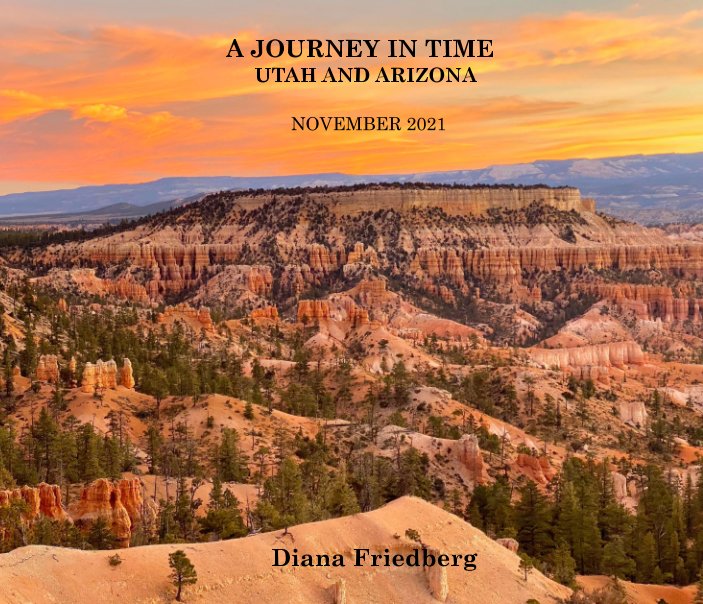 View A Journey in Time by Diana Friedberg