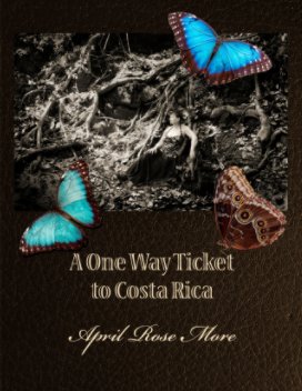 A One Way Ticket to Costa Rica book cover