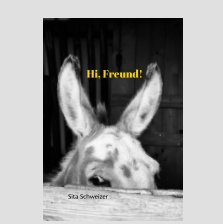 Hi, Freund! book cover