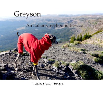 Greyson An Italian Greyhound Rescue book cover