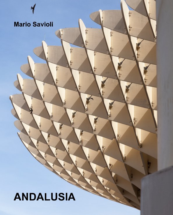 Visualizza Andalusia di Mario Savioli