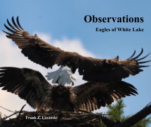 Observations - Eagles of White Lake book cover