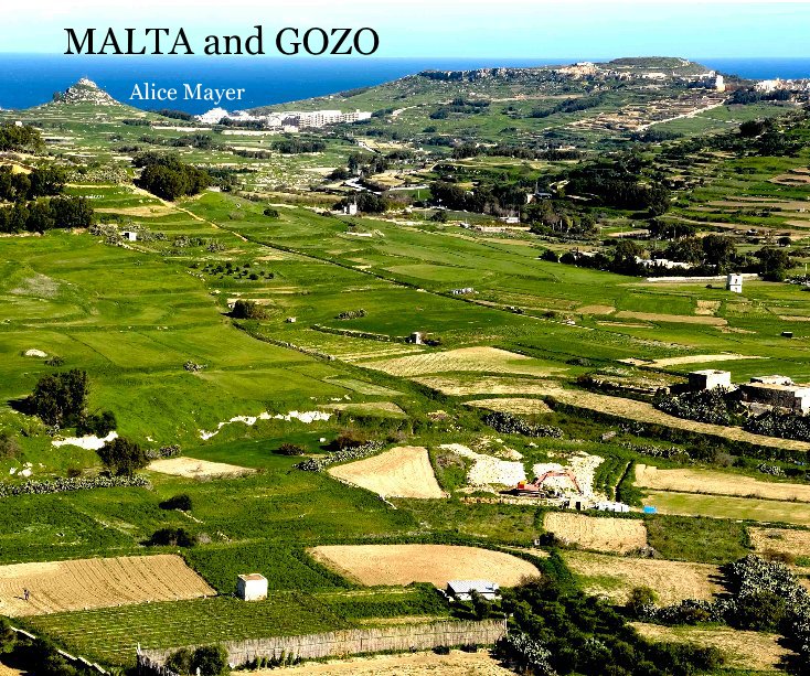 View MALTA and GOZO by Alice Mayer