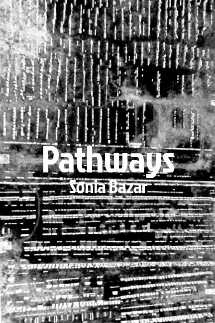 View Pathways by Sonia Bazar