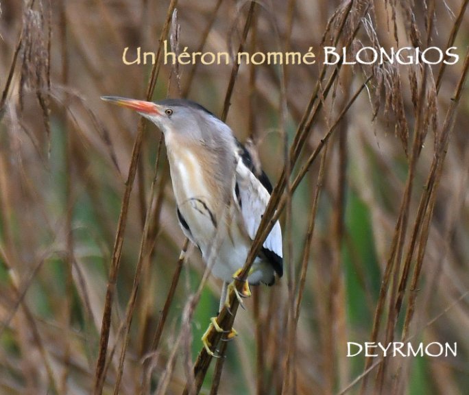 View Un héron nommé Blongios by Deyrmon