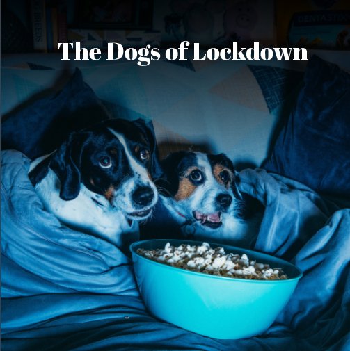 View The Dogs of Lockdown by El Keegan