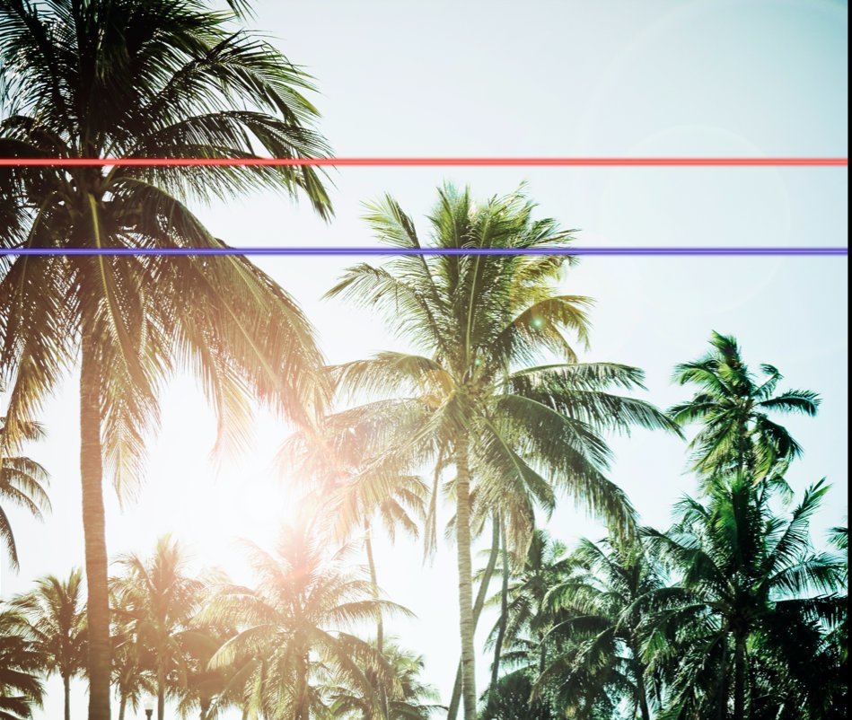 Visualizza Miami's Nice di Darren Martin