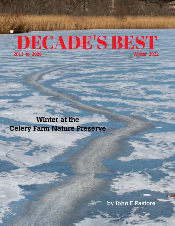 View Decade's Best by John F. Pastore