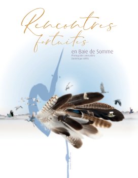 Rencontres fortuites book cover