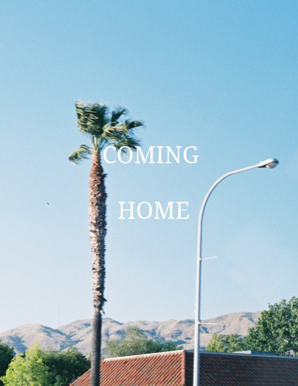 View Coming Home by Matthew Cordima