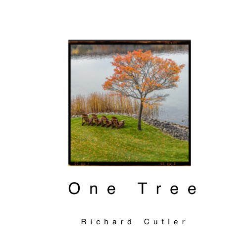 View One Tree by Richard Cutler