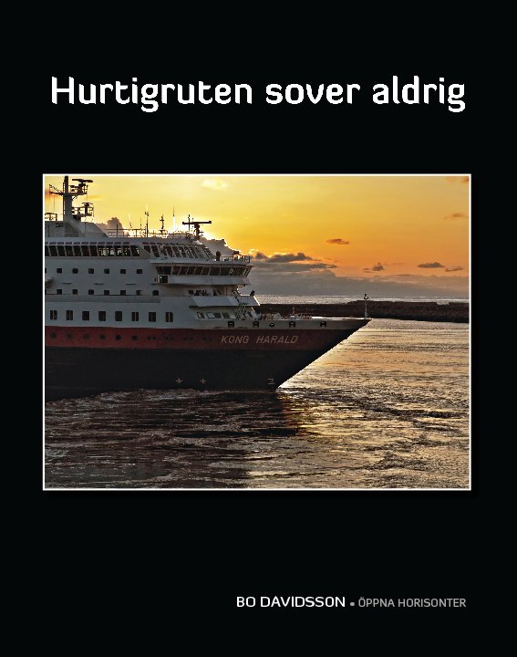 View Hurtigruten sover aldrig by Bo Davidsson