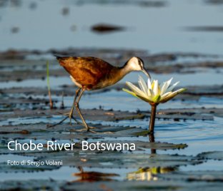 Chobe River,  Botswana book cover