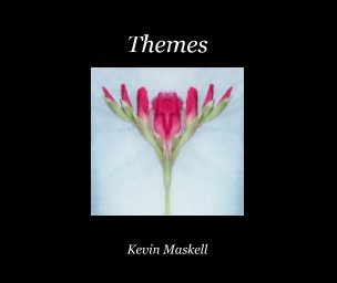 Themes book cover