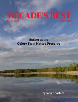 DECADE'S BEST - Spring at the Celery Farm Nature Preserve book cover