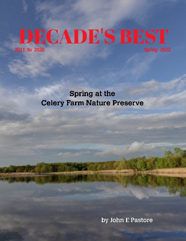 View DECADE'S BEST - Spring at the Celery Farm Nature Preserve by John F. Pastore