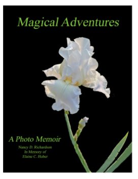 Magical Adventures book cover