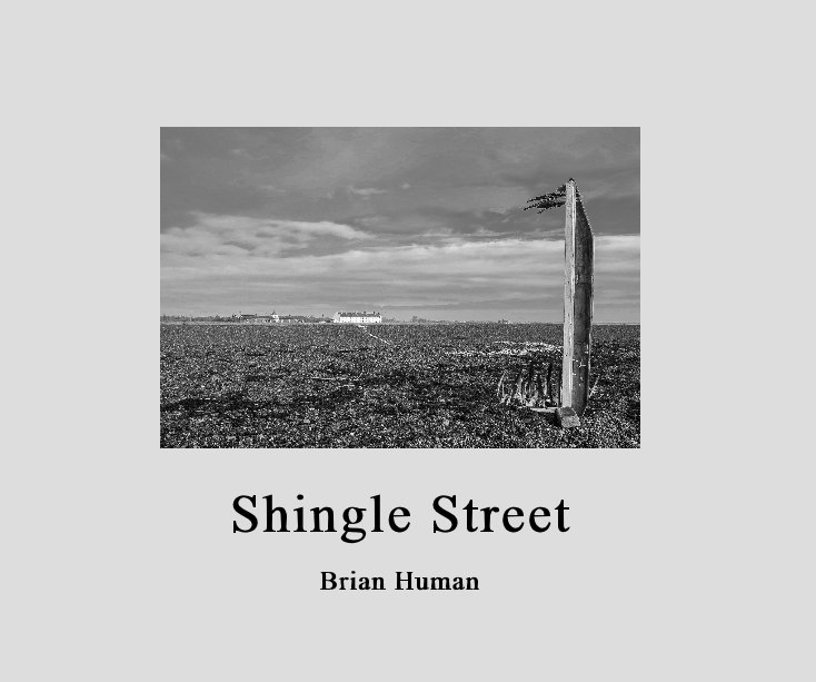 View Shingle Street by Brian Human