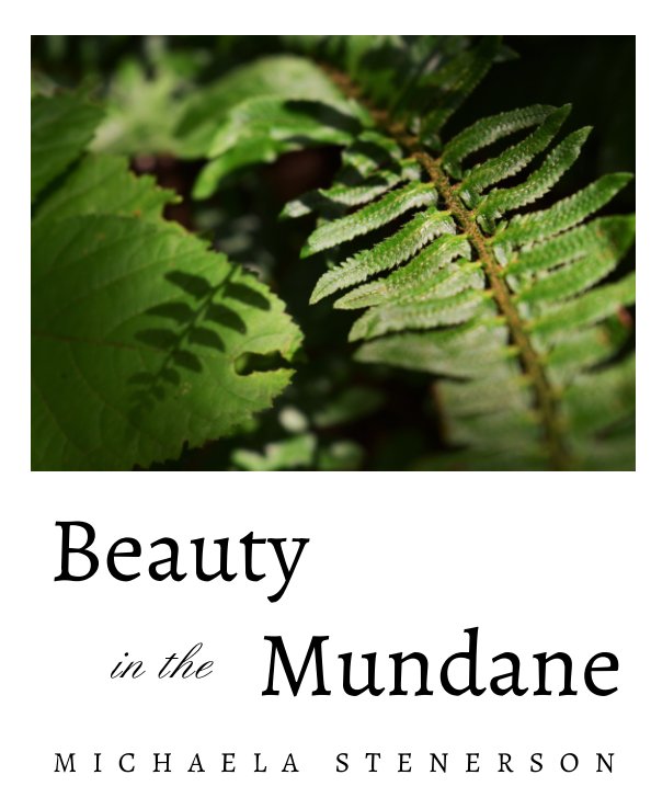 View Beauty in the Mundane by Michaela Stenerson