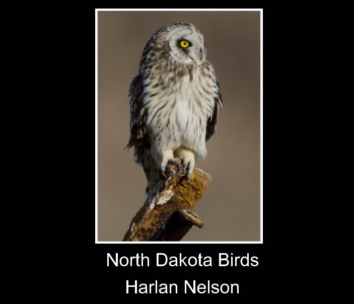 Bekijk wildlife bird 2021 op Harlan Nelson