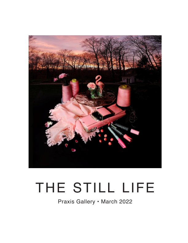 Visualizza The Still Life di Praxis Gallery