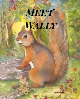 Meet Wally book cover