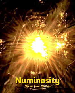 Numinosity book cover