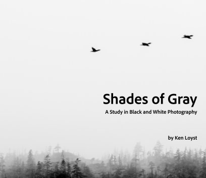 Shades of Gray book cover