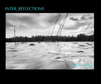 Inter_Reflections book cover