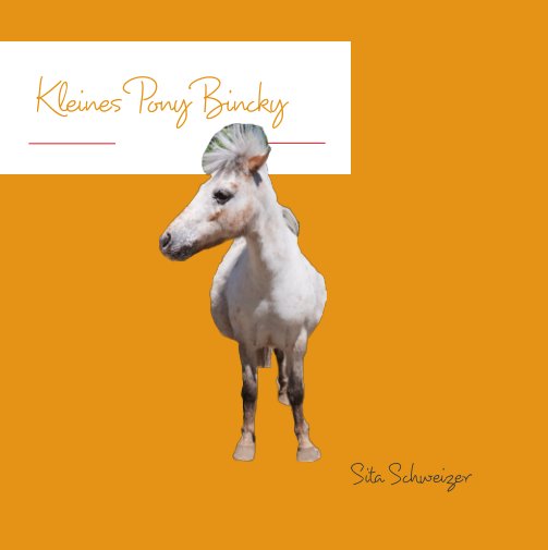 View Kleines Pony Bincky by Sita Schweizer