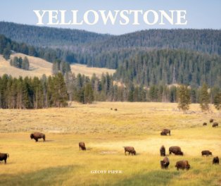 Yellowstone || Nightstand Edition (10x8) book cover
