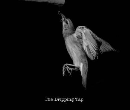 The Dripping Tap book cover
