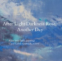 After Light Darkness Rose, Another Day book cover