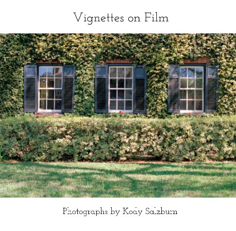 View Vignettes on Film by Kody Salzburn