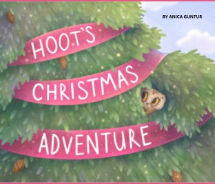Hoot's Christmas Adventure book cover