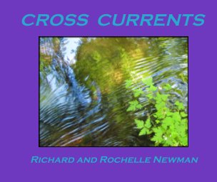 Cross Currents book cover
