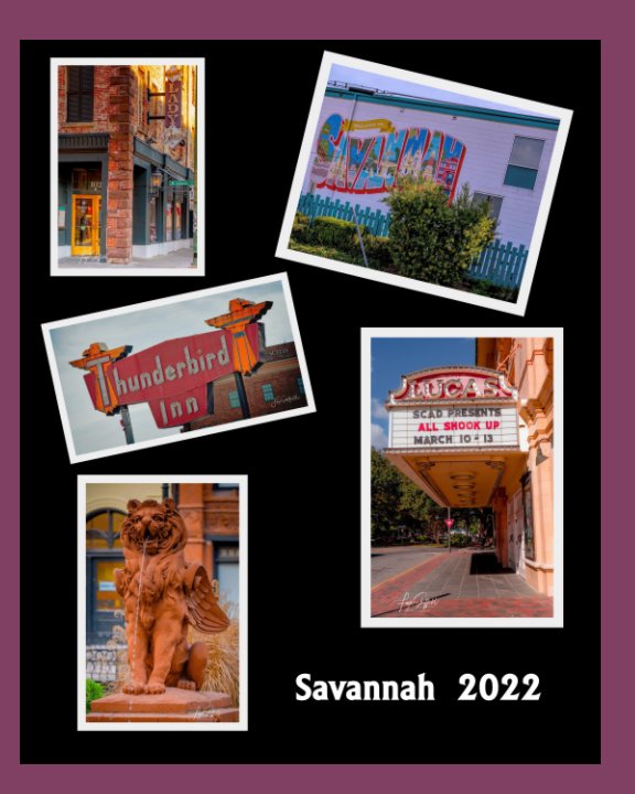 View Savannah  2022 by Faye Sheffield