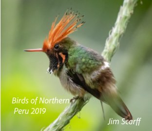 Birds of Northern Peru book cover