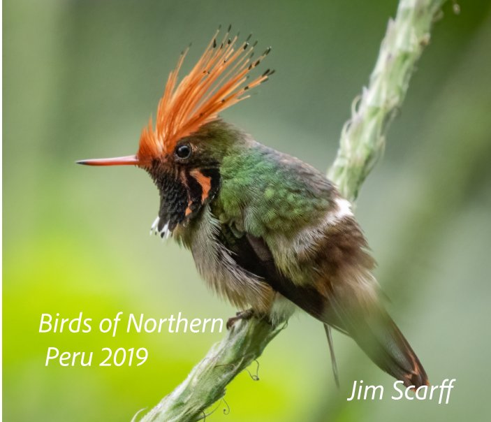 Ver Birds of Northern Peru por Jim Scarff