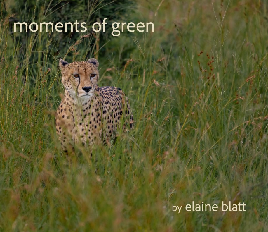 Ver moments of green por elaine blatt