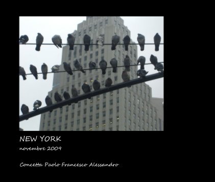 NEW YORK novembre 2009 book cover