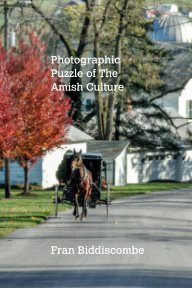 Photographic Puzzle of the Amish Culture book cover