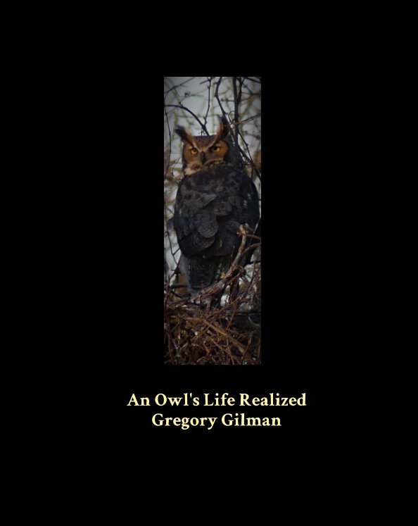 Bekijk An Owls Life Realized op Gregory Gilman